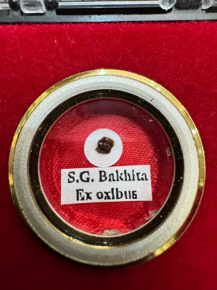 saint josephine bakhita relic zoom / Relique de Sainte Josephine Bakhita avec Certificat
