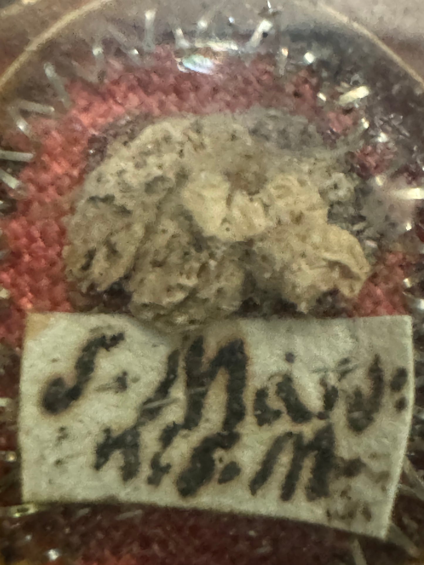 Relic of St. Maroun with authentic