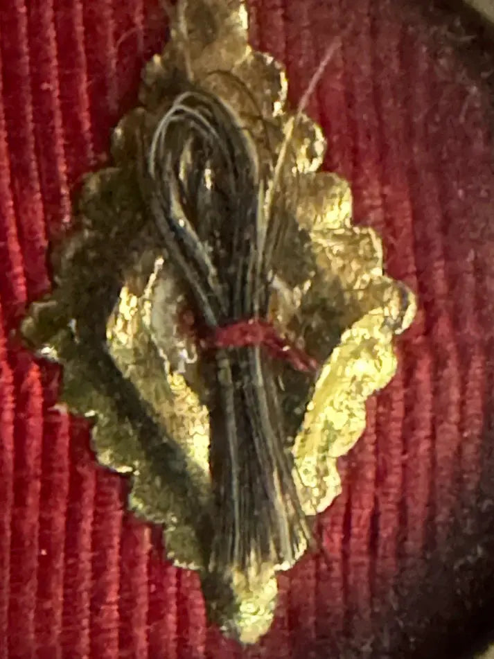 Relic of Saint John Vianney, Curé of Ars zoom hair