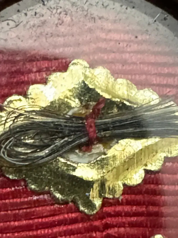 Relic of Saint John Vianney, Curé of Ars zoom hair