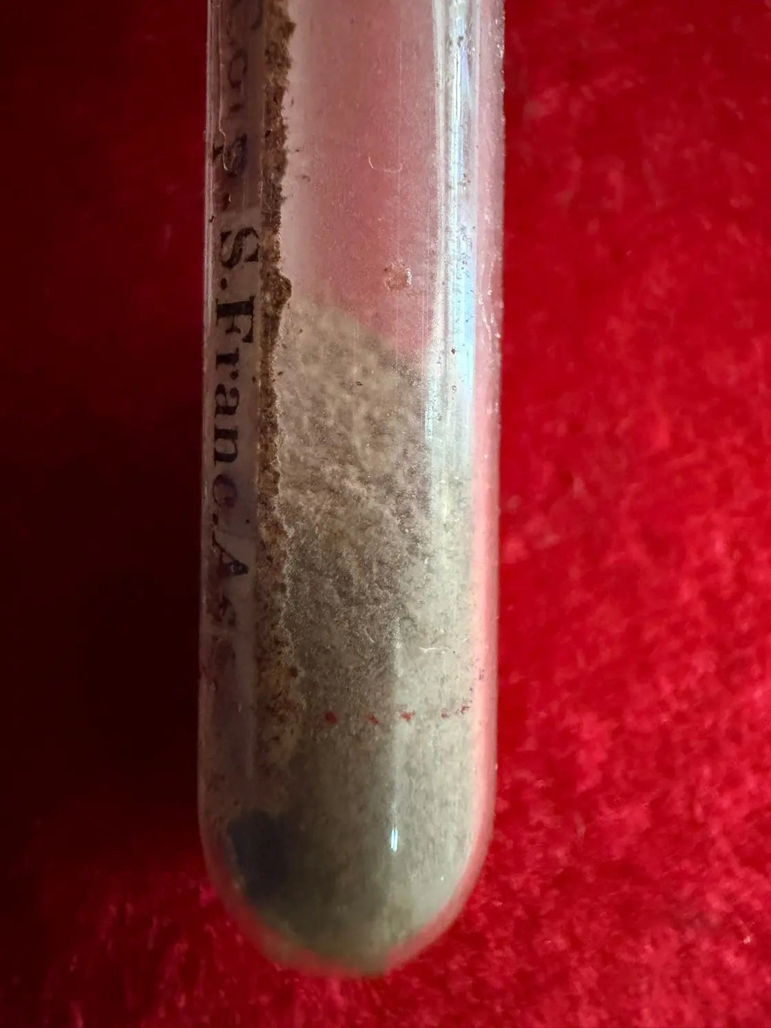 Relic vial containing ashes from the body of Saint Francis of Assisi
/
Ampoule reliquaire contenant des cendres du corps de saint François d’Assise